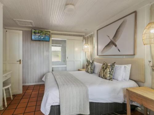 Knysna - Oyster Catcher