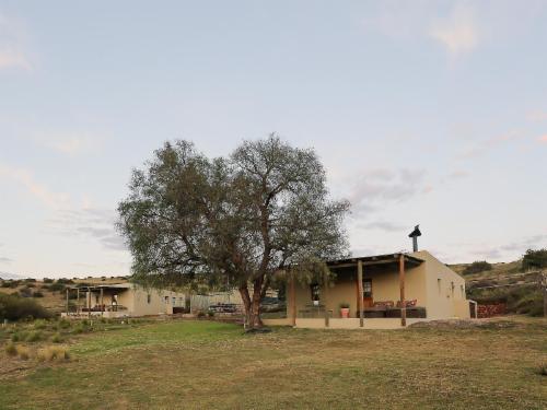 Peperboom Cottage
