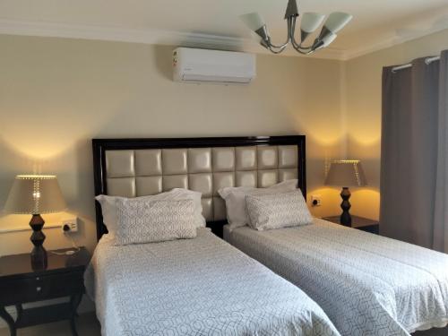 Ficus Room