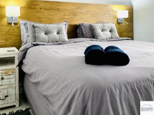 Deluxe 2-Bedroom Apartment