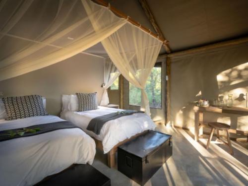 Tented Suite 4