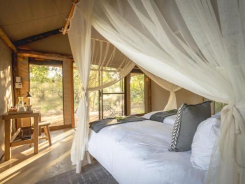 Tented Suite 4
