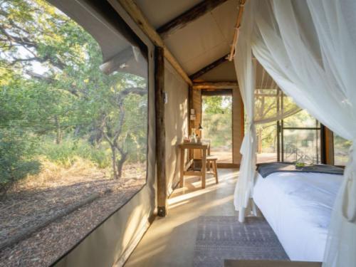Tented Suite 4